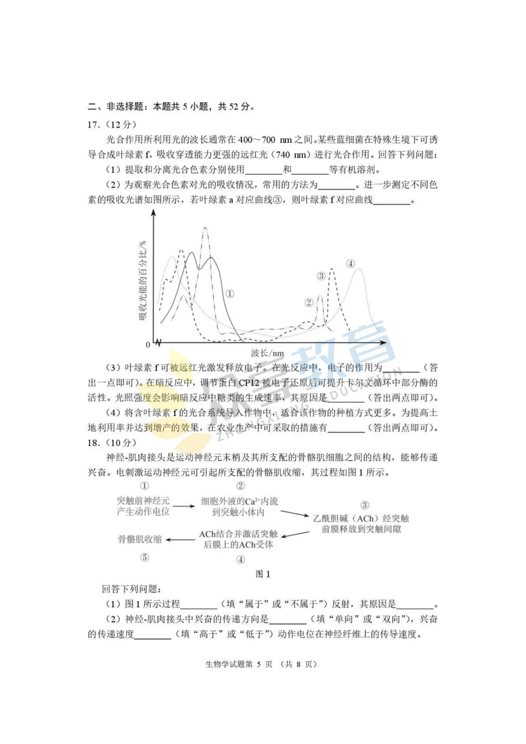 【高三试卷】河南省2026届高三下学期高考适应性考试试卷及答案(9科全,可下载) 第57张