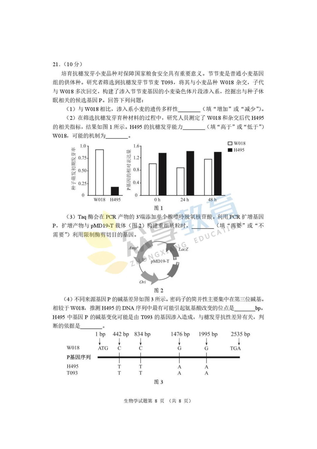 【高三试卷】河南省2026届高三下学期高考适应性考试试卷及答案(9科全,可下载) 第59张