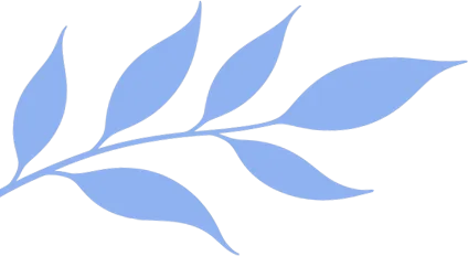 研修课程丨聚焦结构化阅读赋能中考备考——顺义区初三英语主题教研活动纪实 第4张