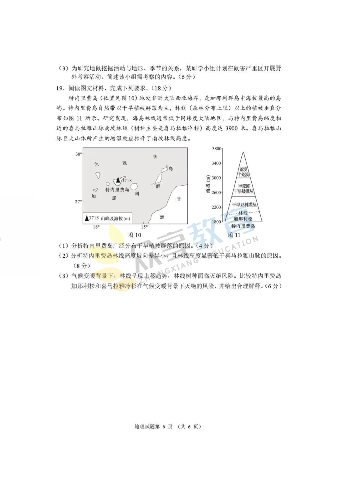 【高三试卷】河南省2026届高三下学期高考适应性考试试卷及答案(9科全,可下载) 第82张