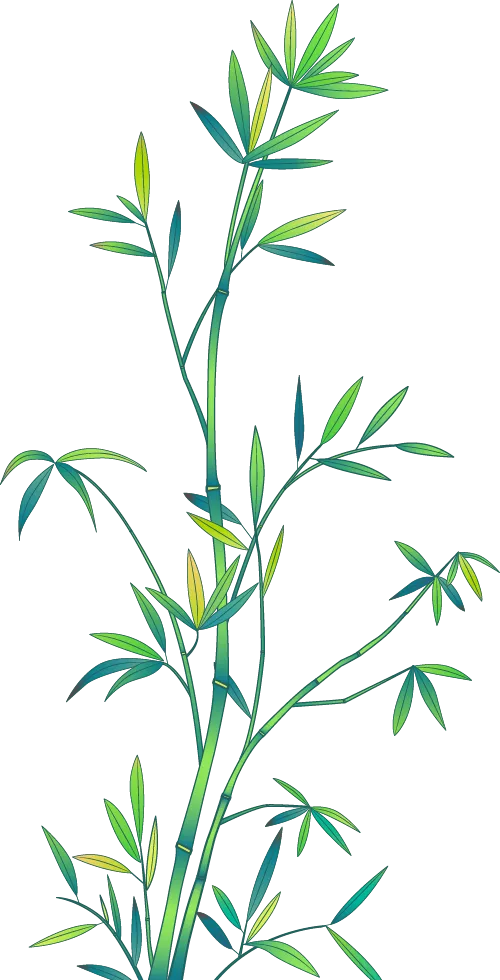 近5年陕西中考政治全解析|给2026届考生的复习导航 第3张