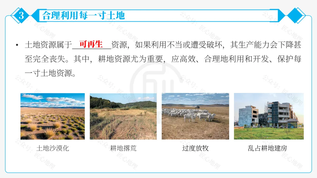 新教材 | 中考一轮复习·中国的土地资源(课件+导学单+练习题) 第41张