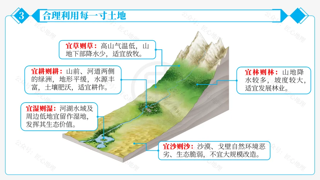 新教材 | 中考一轮复习·中国的土地资源(课件+导学单+练习题) 第43张