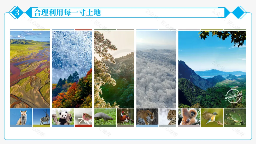 新教材 | 中考一轮复习·中国的土地资源(课件+导学单+练习题) 第46张