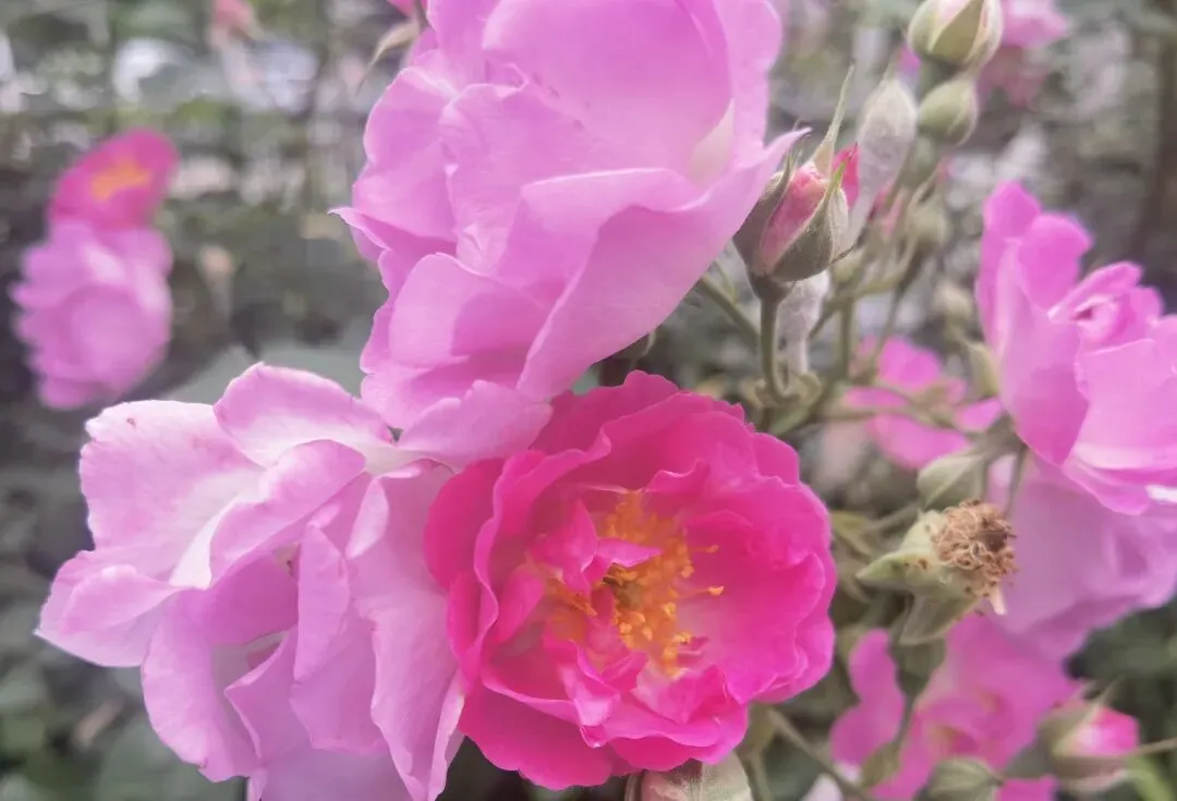 真题解析:年轻人变“抠门”是好事吗?面试这样答,考官抬头看你三秒 第1张