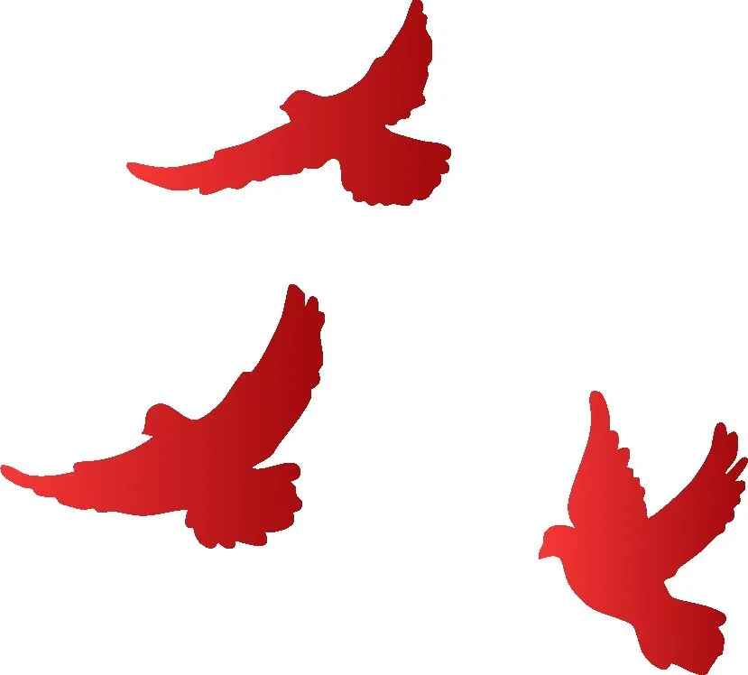 2026届高考生必看!2025高考九科真题结构与核心考点全梳理 第11张