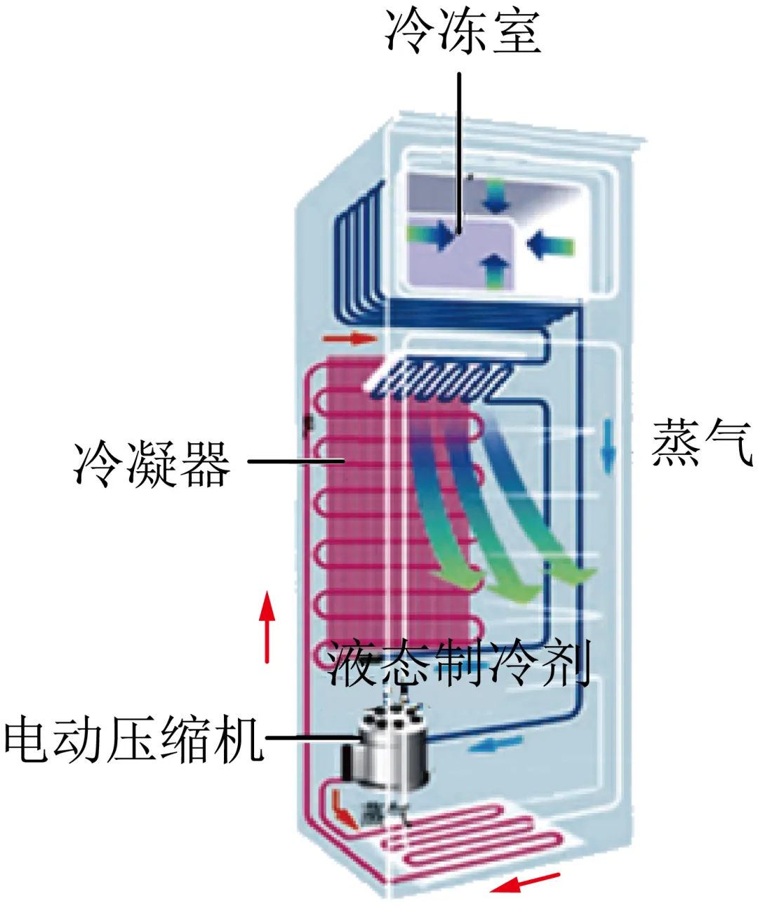 2026年中考物理模拟试卷10份 第4张