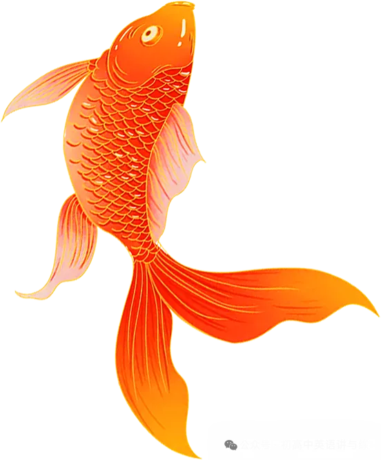 中考英语一模试题 有答案可打印 第2张