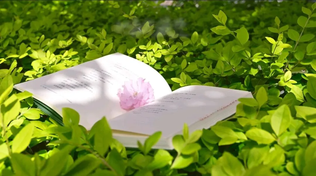 中考英语一模试题 有答案可打印 第18张