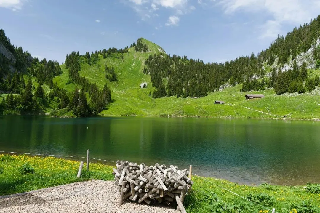 2026 年中考志愿填报后民办高中择校现象 第2张