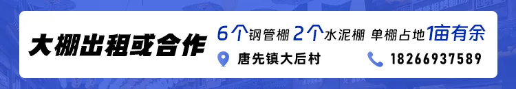 速看!金华市2026年中考时间来了 第2张