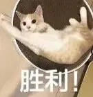 夏季考试季即将来临,Alevel真题如何高效利用 第2张