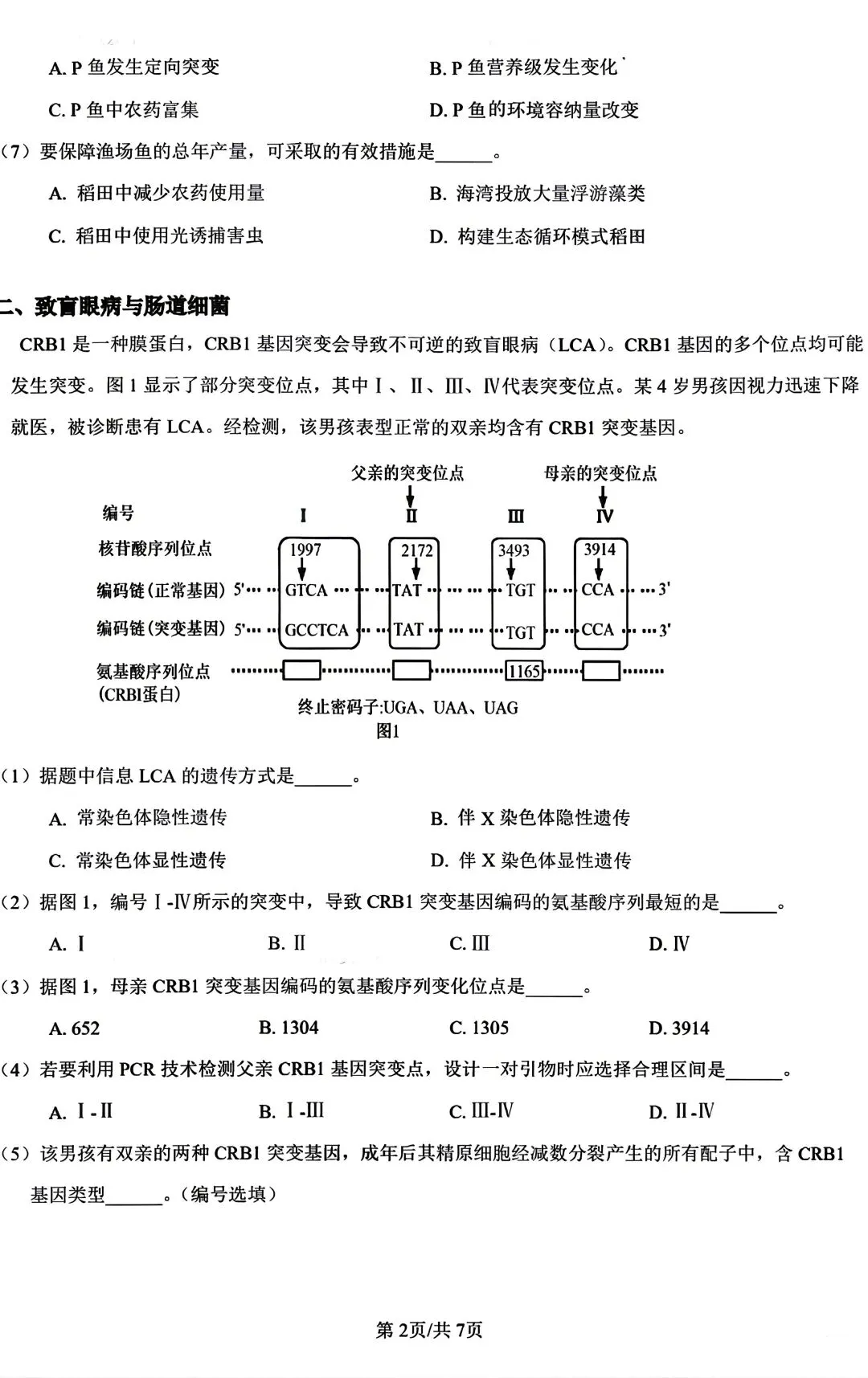 重磅汇总!2024上海等级考加三科真题(回忆版),2026备考必备,建议收藏! 第20张