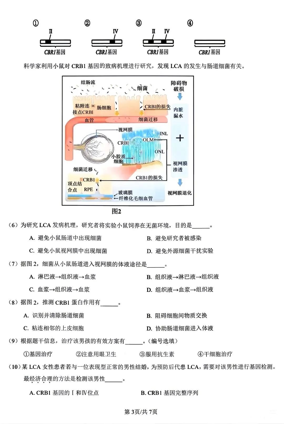 重磅汇总!2024上海等级考加三科真题(回忆版),2026备考必备,建议收藏! 第21张