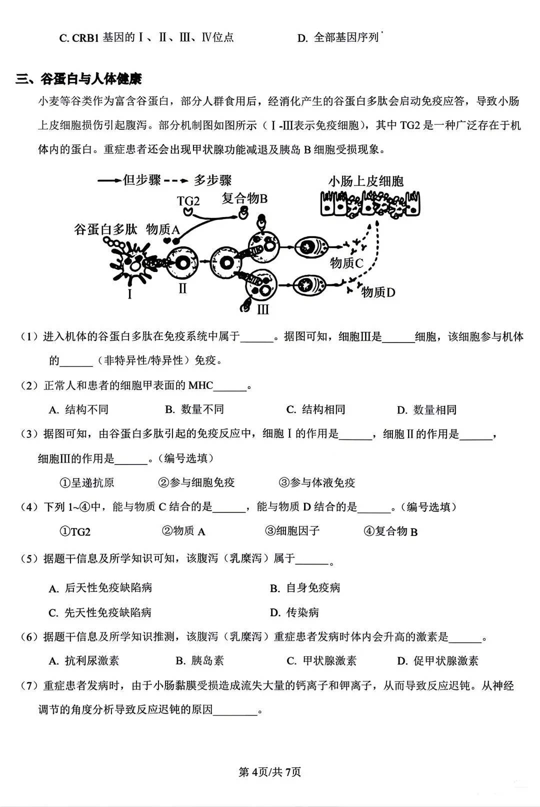 重磅汇总!2024上海等级考加三科真题(回忆版),2026备考必备,建议收藏! 第22张