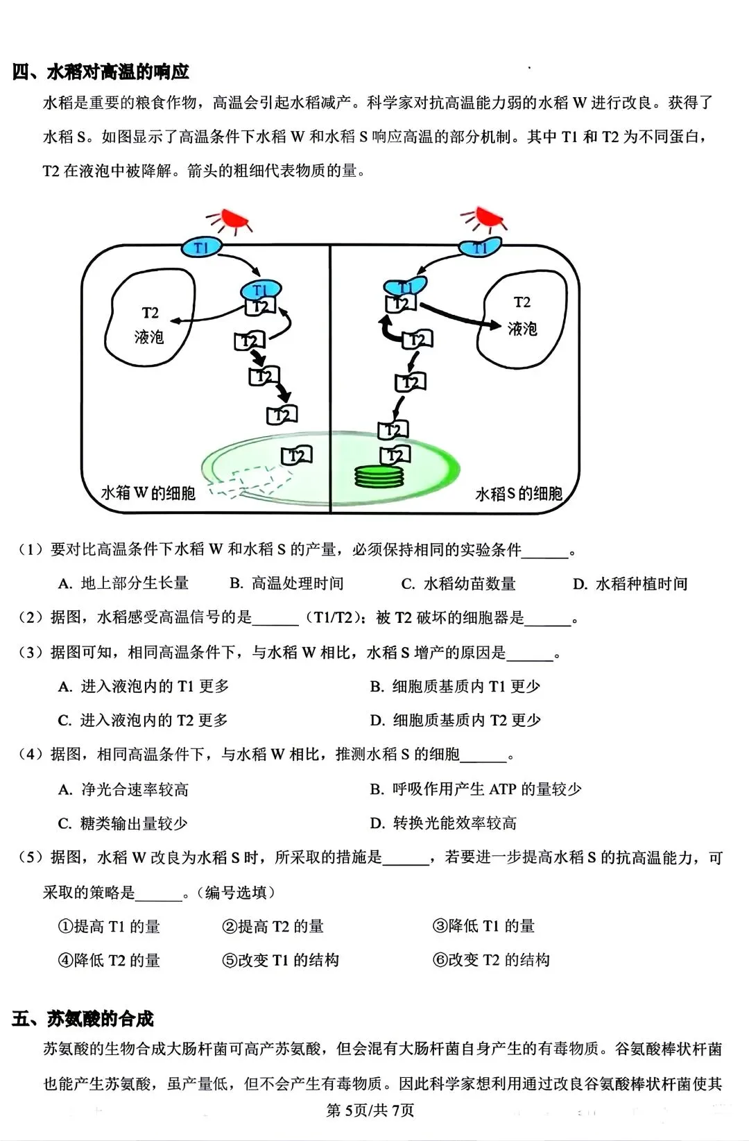 重磅汇总!2024上海等级考加三科真题(回忆版),2026备考必备,建议收藏! 第23张