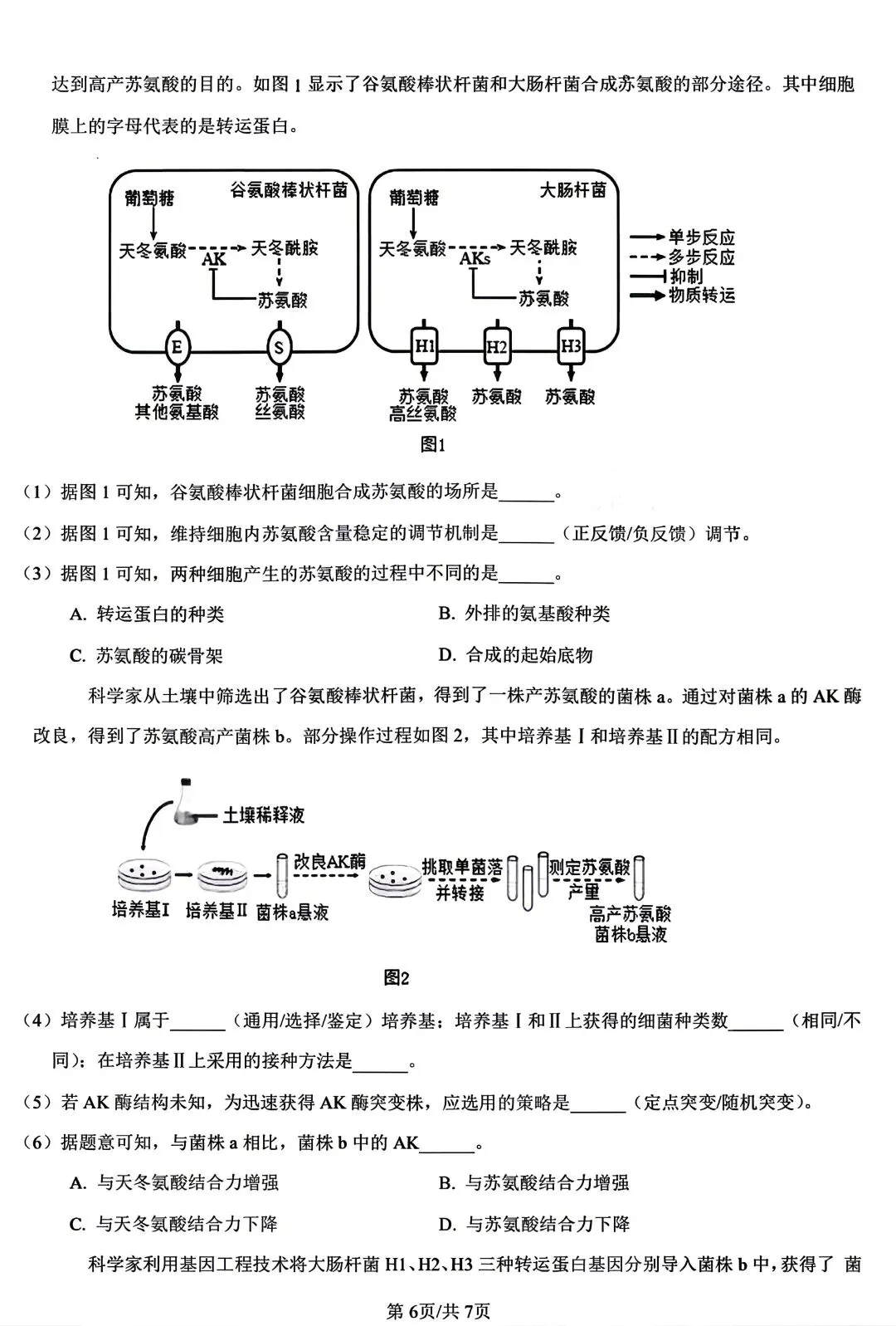 重磅汇总!2024上海等级考加三科真题(回忆版),2026备考必备,建议收藏! 第24张