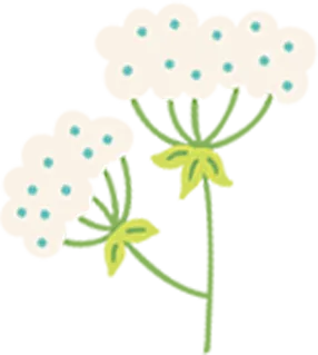 2026 上海中考自招深度揭秘!暗藏的底层规则 + 高中梯队全排名 第5张