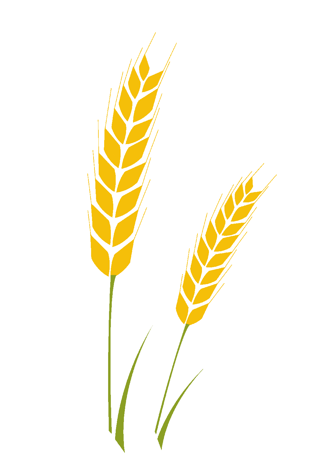 科学陪伴助中考 家校同心护成长——羊亭学校第21期“父母大学”开讲! 第15张