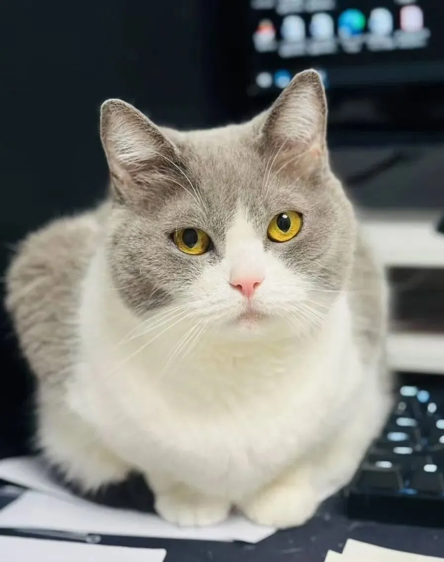 【中考科学·错例归因】Section2:应试与现实——气密性检查中的主次 第1张