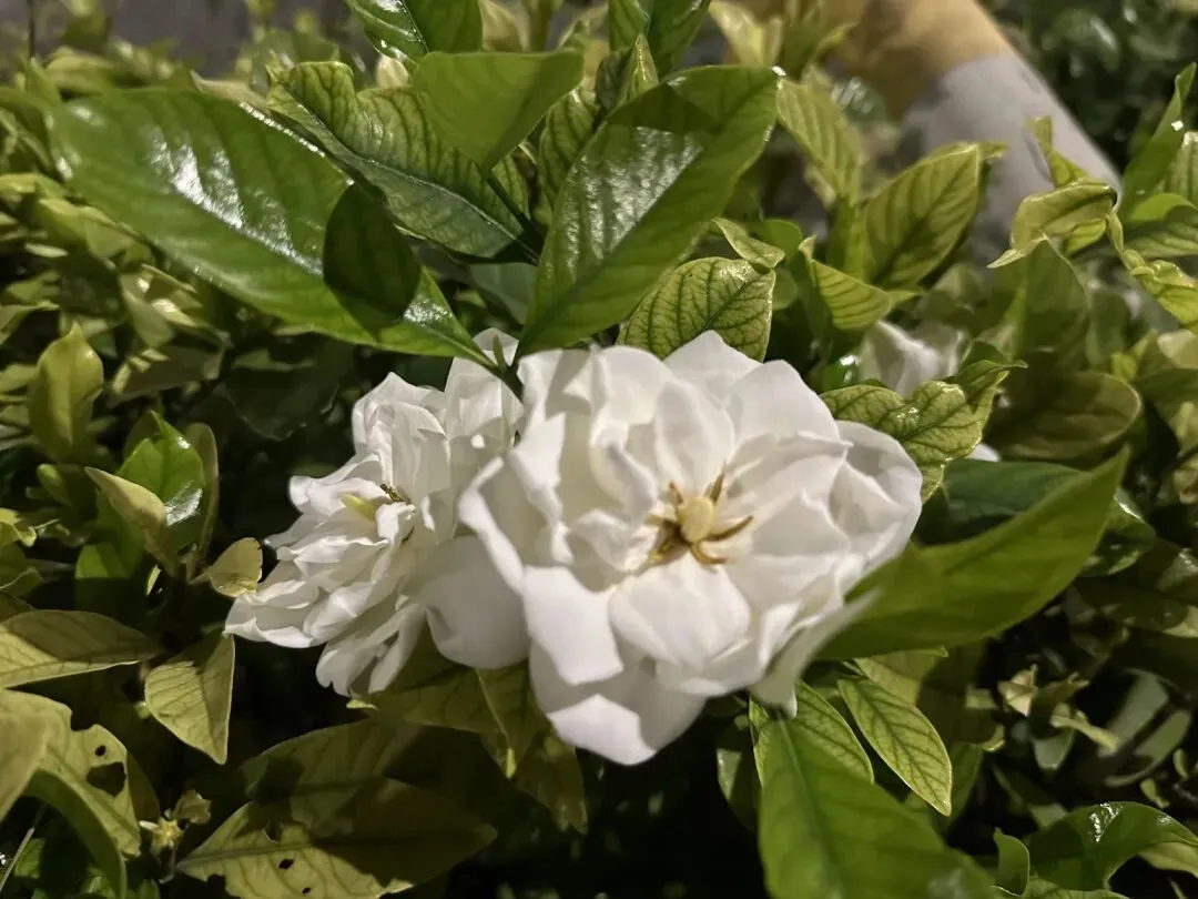 当试卷上的小纸条,照见了生活的“作弊”真相 第9张