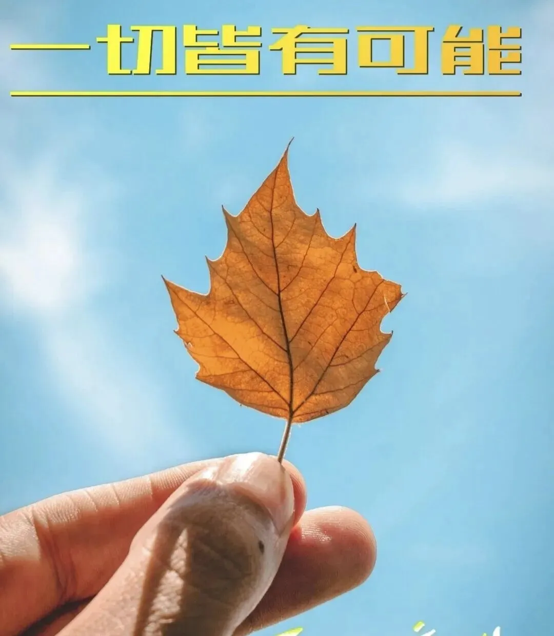 中考倒计时57天:发孩子的一模成绩,引起部分人的不适 第1张