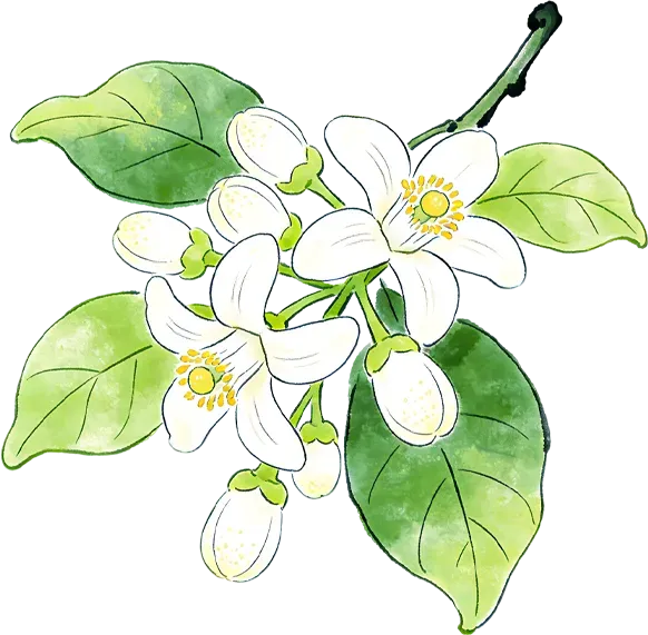 操作步骤详解!2026年广州中考一模准考证打印入口已开通,附考试安排 第6张