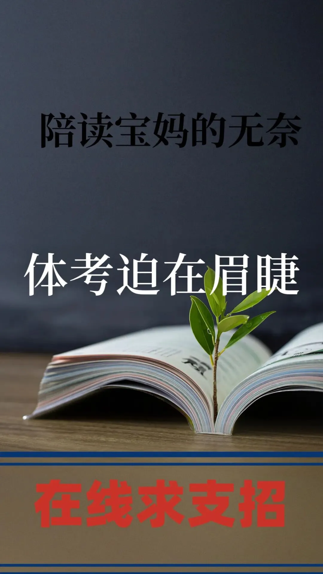 初三娃意外骨折,体育中考或丢20多分!一位陪读妈妈的揪心提醒与求助 第6张