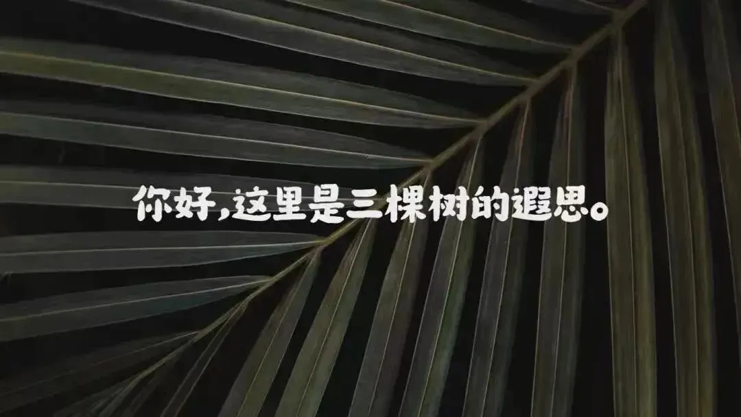2026年4月9日 温州二模英语试卷 注释+长难句 第1张