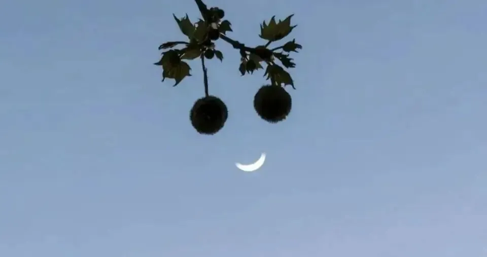 关于我的中考一模 第2张