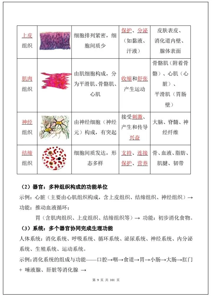 中考生物|2026《生物会考》必背考点汇总(108大考点总结)全国通用,电子版可打印下载! 第10张