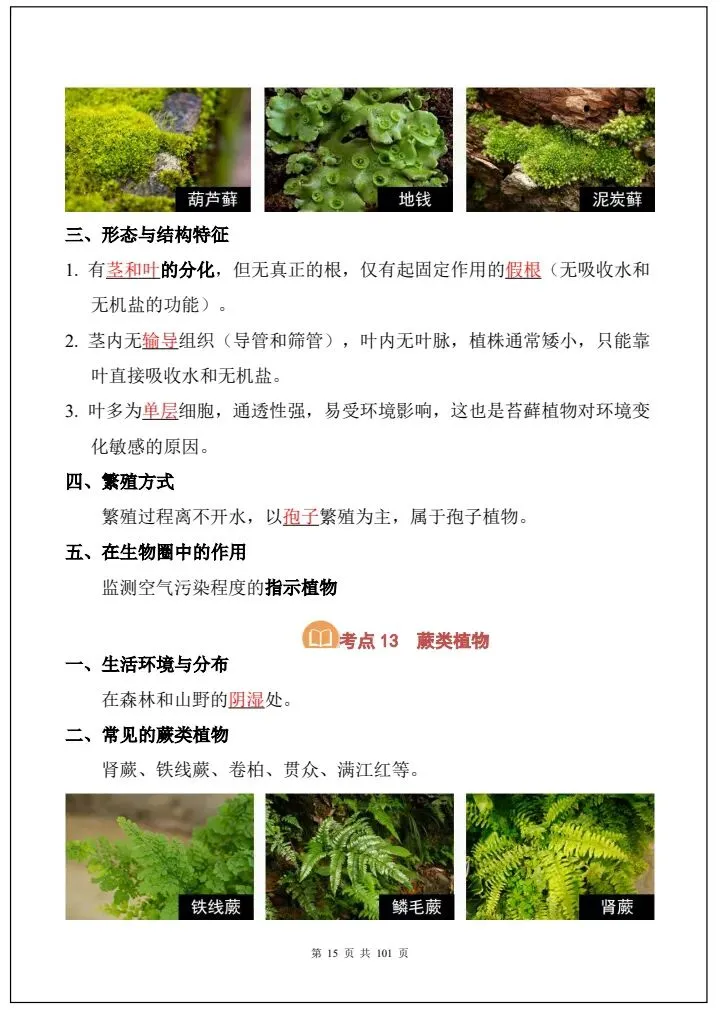 中考生物|2026《生物会考》必背考点汇总(108大考点总结)全国通用,电子版可打印下载! 第16张