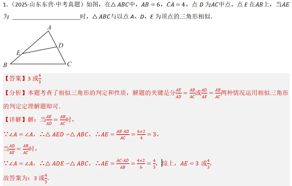 2026年中考数学复习之几何压轴重难点03与相似三角形有关的热考模型(全国通用) 第10张