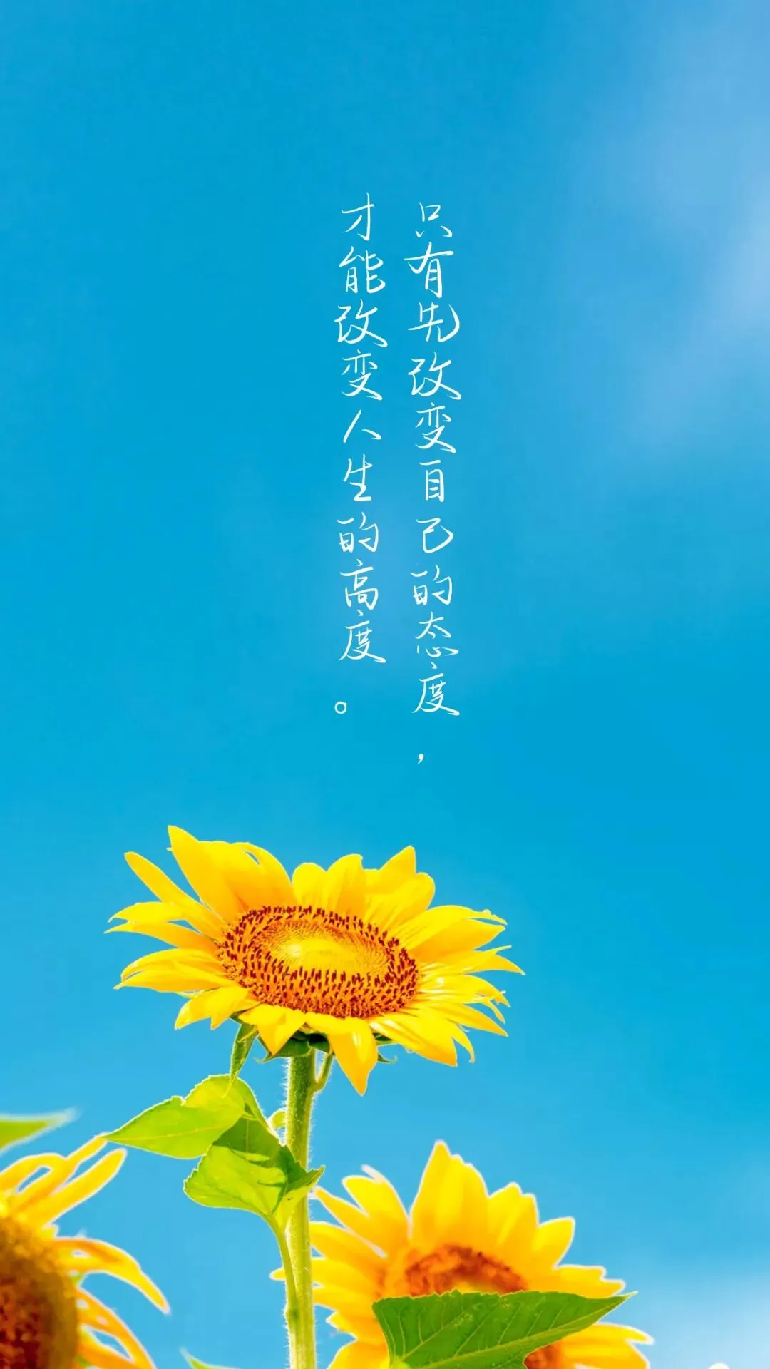 工艺流程题2025年高考真题汇编 第23张