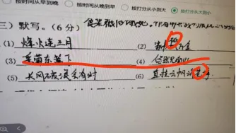 广丰区2026年九年级语文一模试卷质量分析 第13张