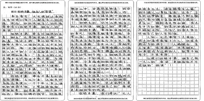 广丰区2026年九年级语文一模试卷质量分析 第23张