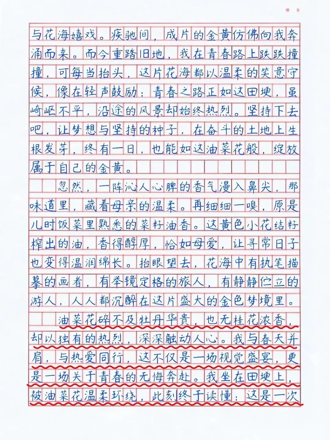【中考满分作文】逐段拆解+深度解析《我慢慢读懂了油菜花》 第2张