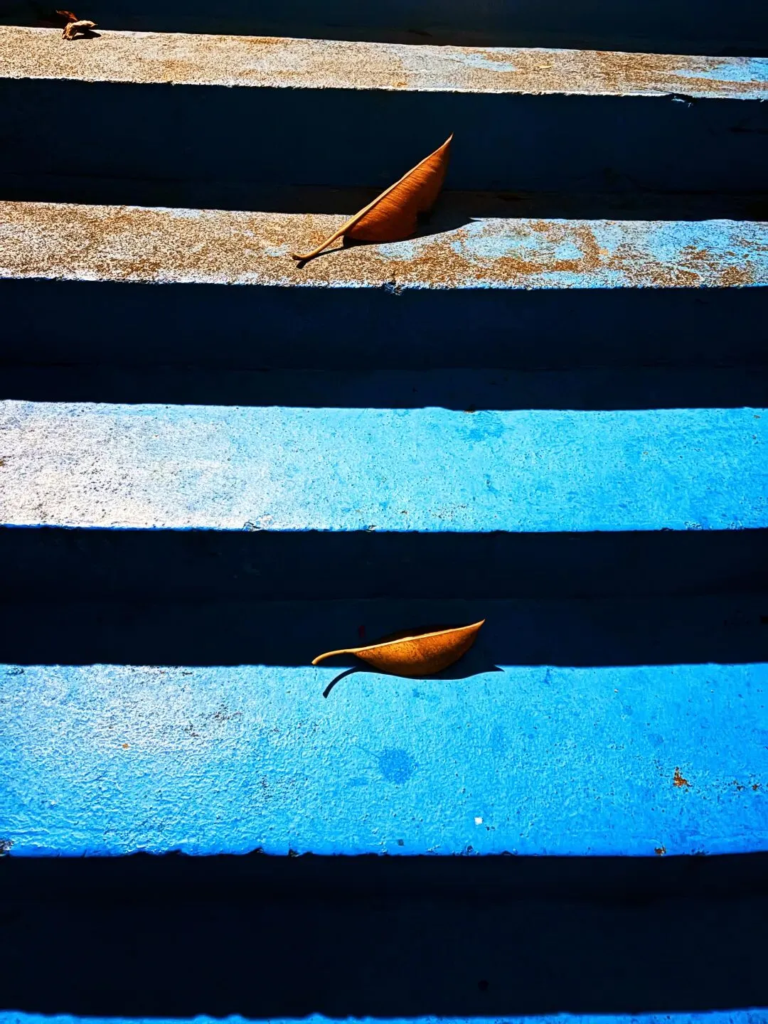 我和我的中考作文研究 第2张