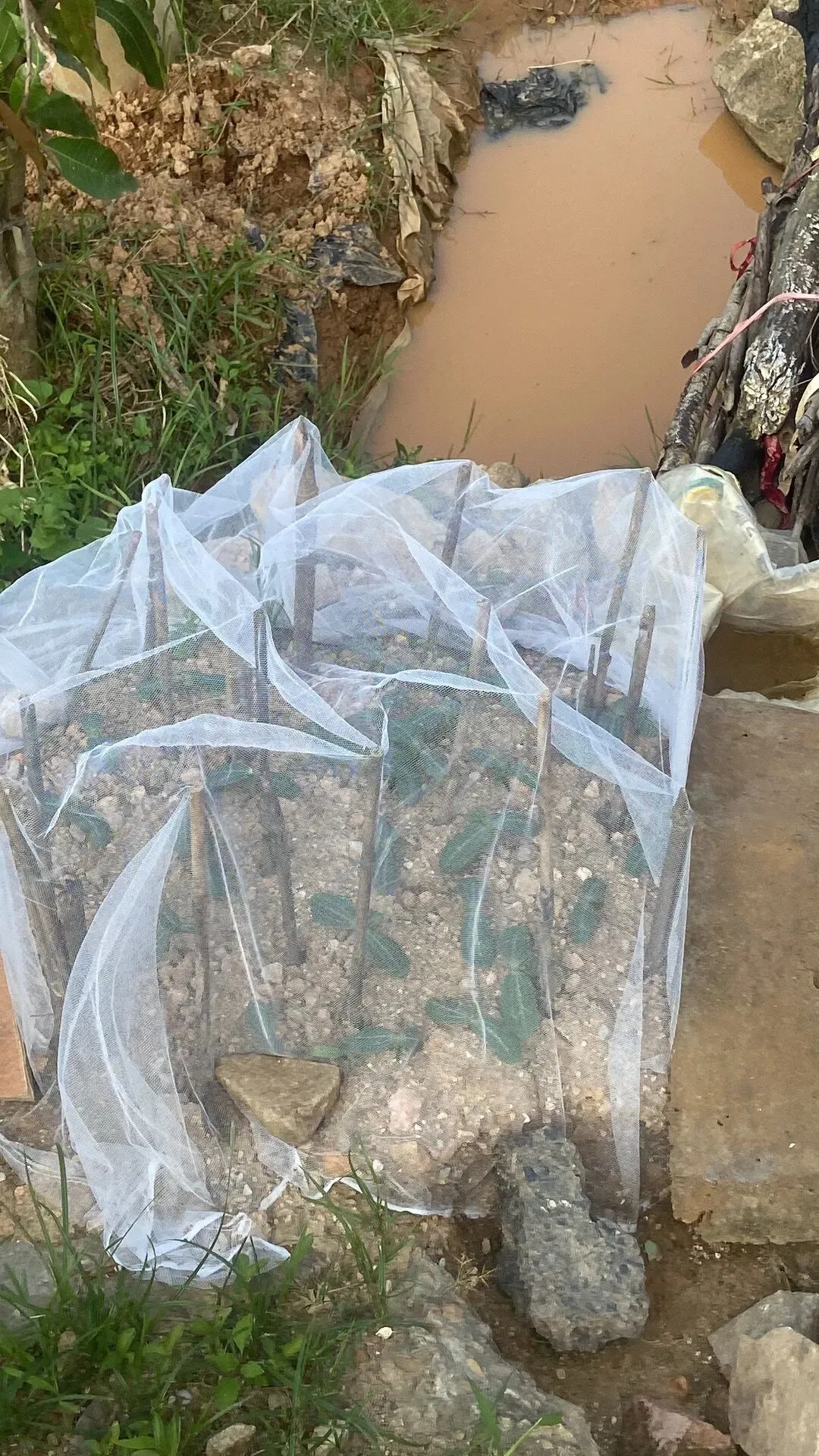 二下数学期中模拟考62分,踩线及格! 第4张