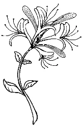 冲刺提分真题练——考点18 生物与土壤(原卷版) 第6张