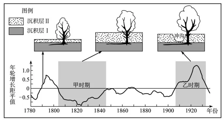 冲刺提分真题练——考点18 生物与土壤(原卷版) 第11张