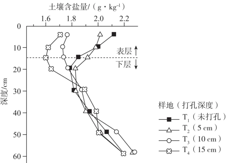 冲刺提分真题练——考点18 生物与土壤(原卷版) 第18张