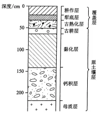 冲刺提分真题练——考点18 生物与土壤(原卷版) 第19张
