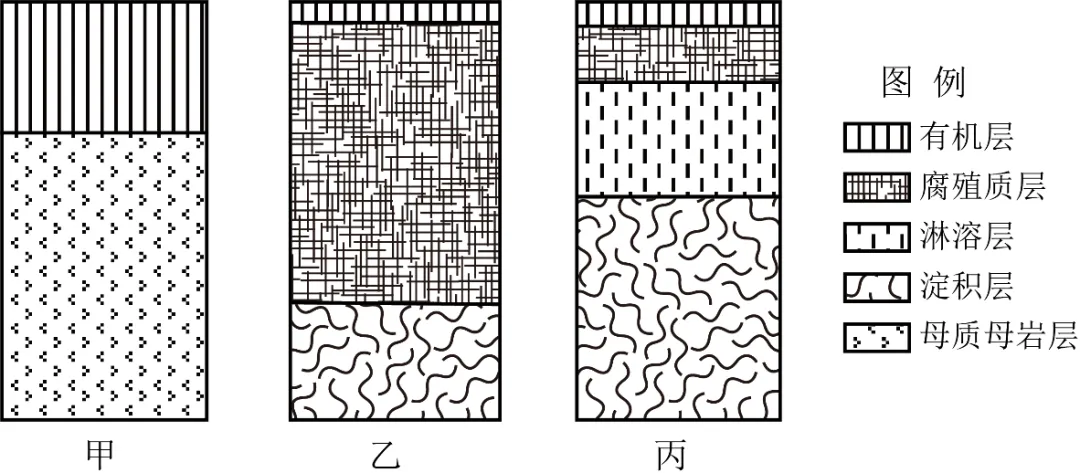 冲刺提分真题练——考点18 生物与土壤(原卷版) 第21张