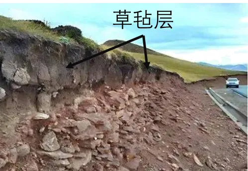 冲刺提分真题练——考点18 生物与土壤(原卷版) 第23张