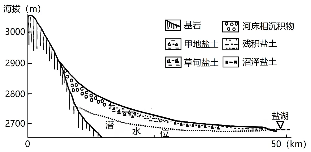 冲刺提分真题练——考点18 生物与土壤(原卷版) 第24张