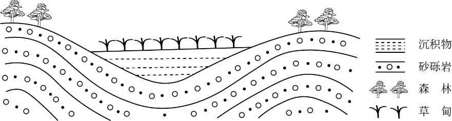 冲刺提分真题练——考点18 生物与土壤(原卷版) 第30张