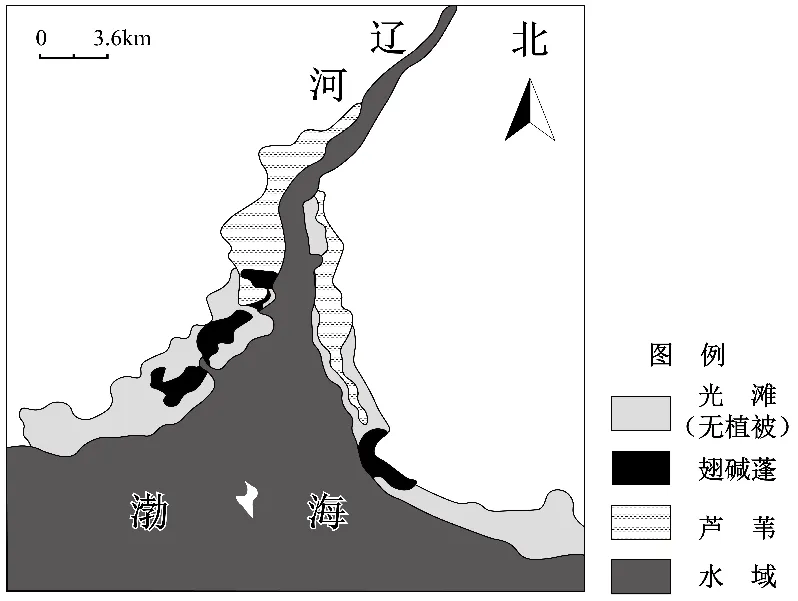 冲刺提分真题练——考点18 生物与土壤(原卷版) 第31张