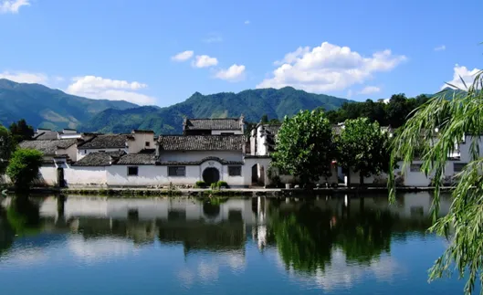 冲刺提分真题练——考点18 生物与土壤(原卷版) 第33张