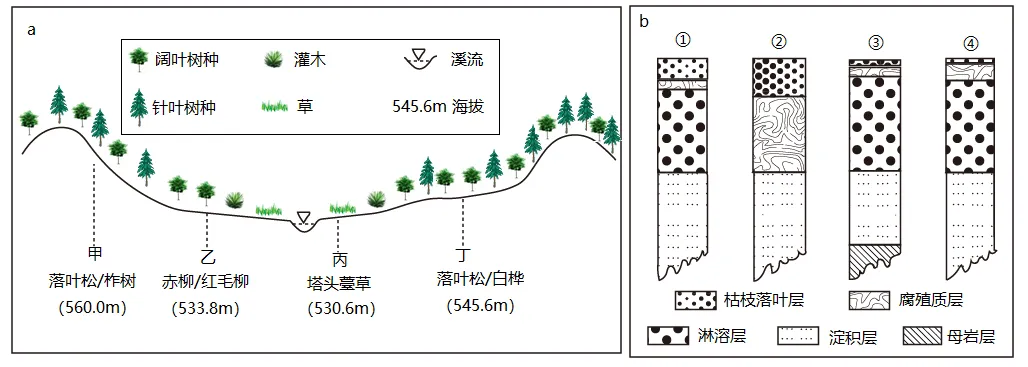 冲刺提分真题练——考点18 生物与土壤(原卷版) 第35张